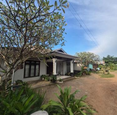 d'Alvin Homestay