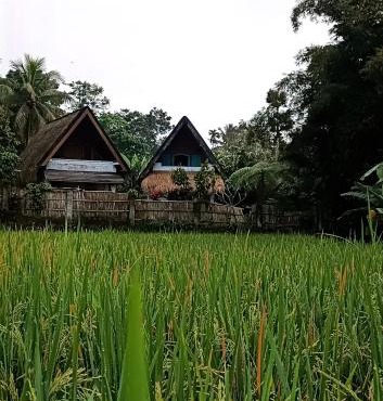 D'Bulan bungalows and kafe