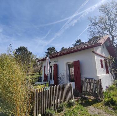 D&D, La maison des écureuils