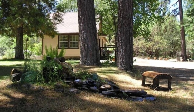 D&E Digs/Relax in the Woods Under Starlit Skies.