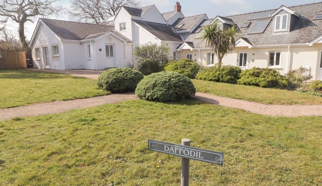 DAFFODIL APARTMENT, pet friendly in Kilgetty