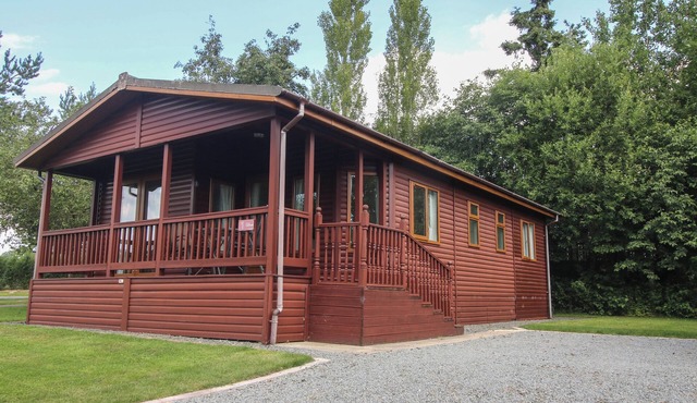 DAFFODIL, family friendly, with a garden in Eardisland