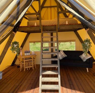 Daffodil Safari Tent