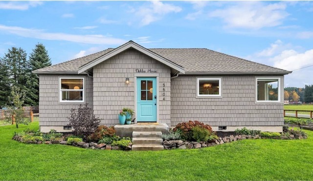 Dahlia House of Carnation