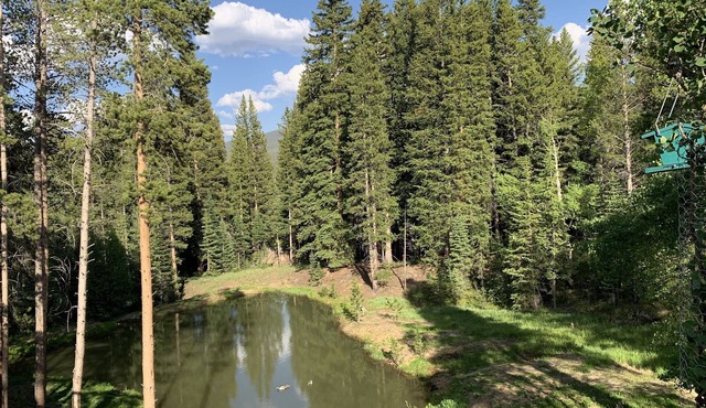 DAILY WILDLIFE - BEAR, MOOSE, DEER - 3BR/3BA - SKI IN/SKI OUT - EARLY CHECKIN