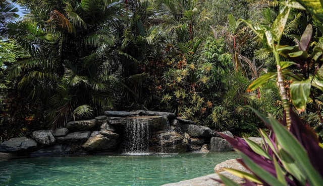 Daintree Beach Resort