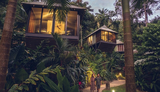 Daintree Ecolodge