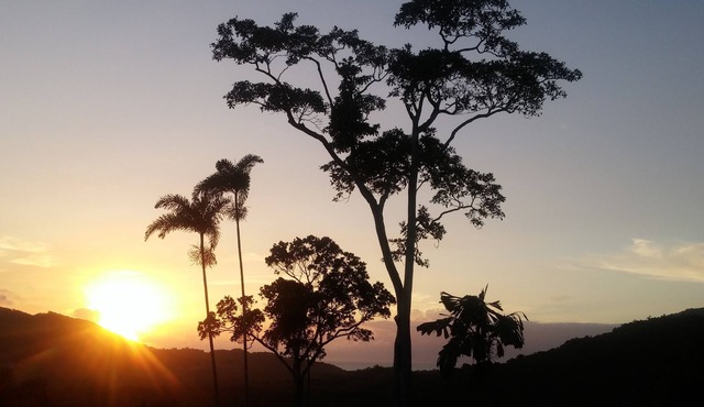 Daintree Holiday Homes - Yurara - Ocean Views and a Luxury Spa Bath for Two