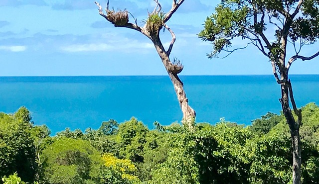 Daintree Magic Vacation Home