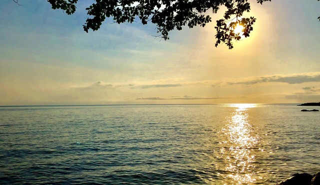 Daintree Manor Bed & Breakfast