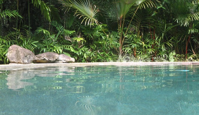 Daintree Rainforest Retreat