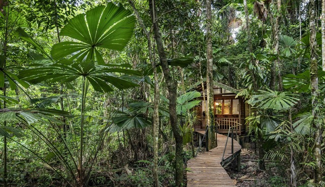 Daintree Wilderness Lodge