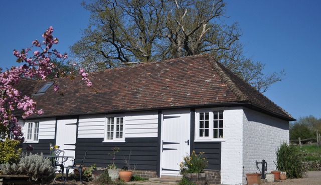 * Dairy Cottage *, Child Friendly Holidays. DISCOUNTS available -call!