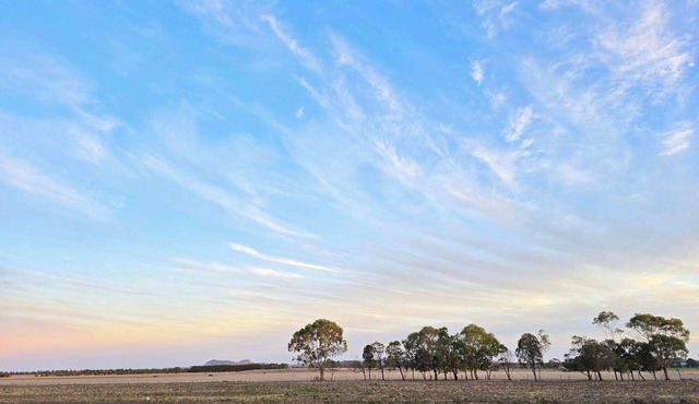 Dairy Escape by Tiny Away