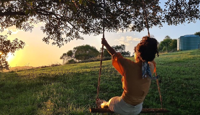 Dairy Song: For the musicians, artists, travellers, lovers of birdlife, yoga .