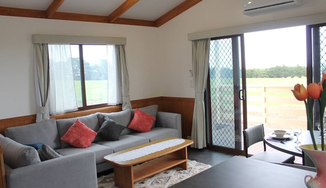 Daisy by the sea at Omaru Farm