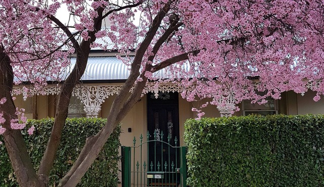 Daisy Cottage - Excellent location close to CBD