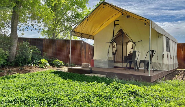 Daisy Glamping Tent with WiFi in charming Paonia- 2 XL DBL beds