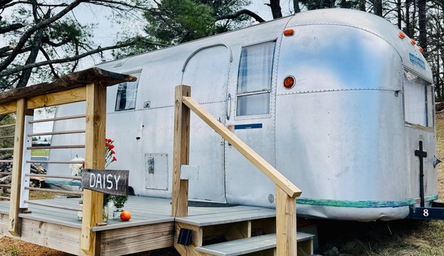 Daisy - Green Acres Resort