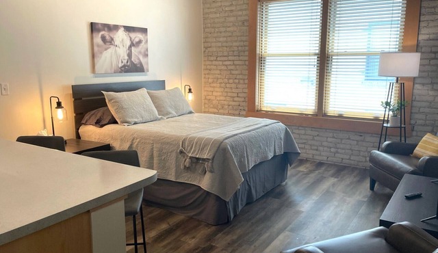 Dakota Suite in Downtown Fargo Historic Building Pet Friendly