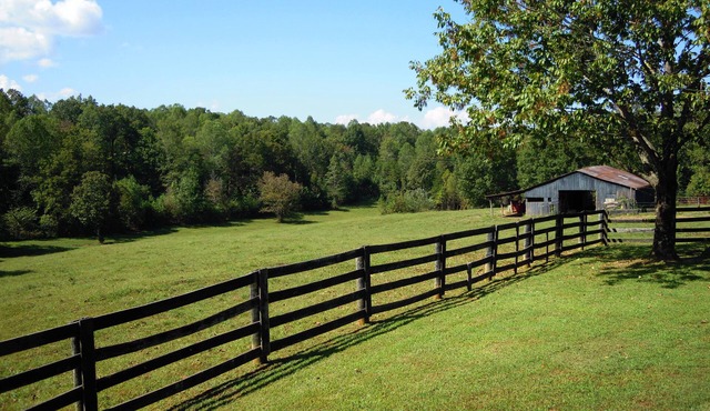 Dale Hollow Cabin Next To State Park With Free Fire Pit & COVERED Boat Slip