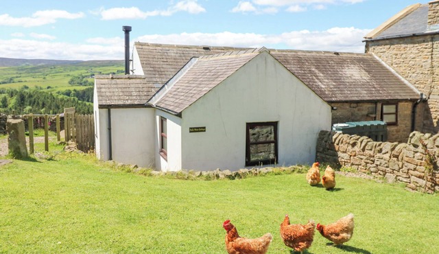 DALE VIEW COTTAGE, pet friendly, with open fire in Allendale