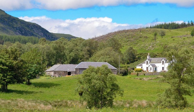 Dalvanie Mill - S4241