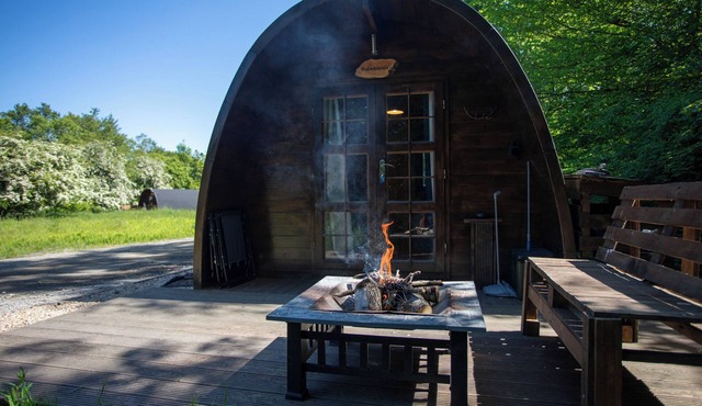 Dalwhinnie, Off-Grid Cabin in Woods: Dalwhinnie. Pet Friendly!