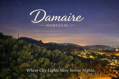 Damaire - Where City Lights Meets Serene Nights!
