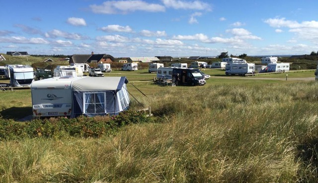 Dancamps Holmsland (Camp Site)