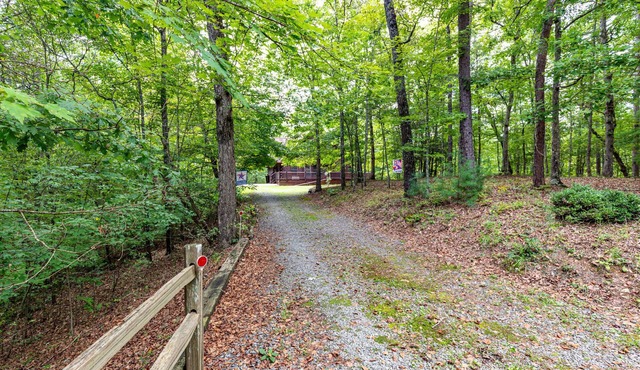 Dancing Bears Cabin - Secluded 3-Bedroom, 3.5-Bath Luxury Cabin with Hot Tub