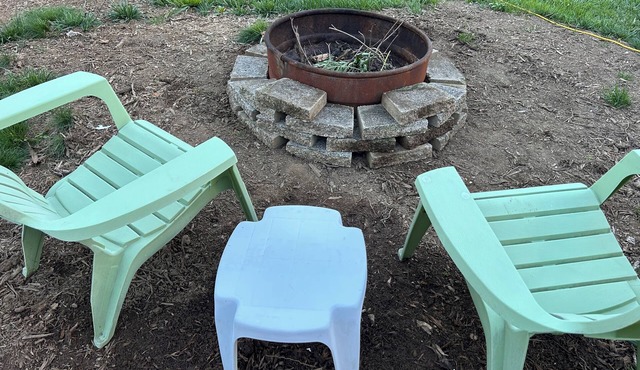 Dandelion in the Heart of Boonsboro