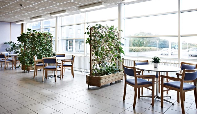 Danhostel Ringkøbing