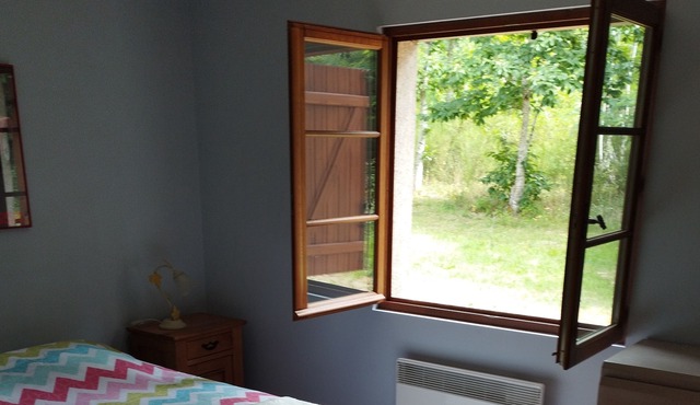 Dans la Forêt Solognote