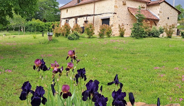 Dans le Périgord Noir, sur le Domaine de la Croix des Alignés Belle Périgourdine