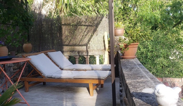 Dans une Maison en Pierres au Milieu des Mimosas,