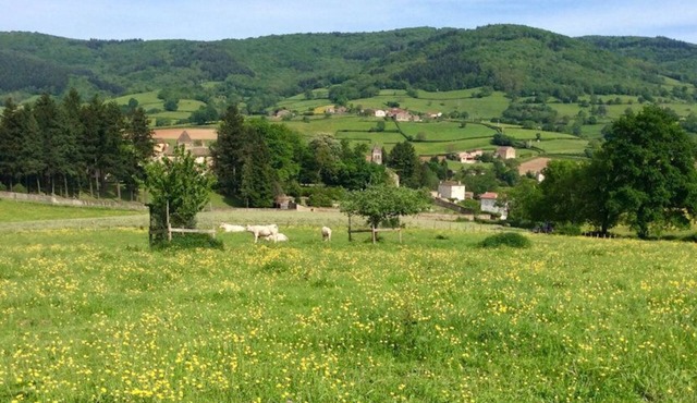 Danse des Etoiles - ST POINT