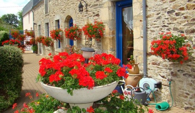 Daol Grenn - Chambres d'Hôtes