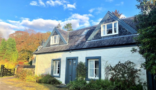 Darroch Beag Cottage, private shore front location, pet friendly, very quiet.