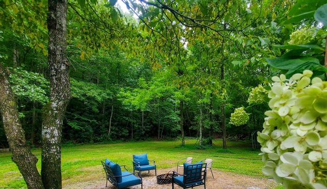 Das Cabin at Bobs Creek