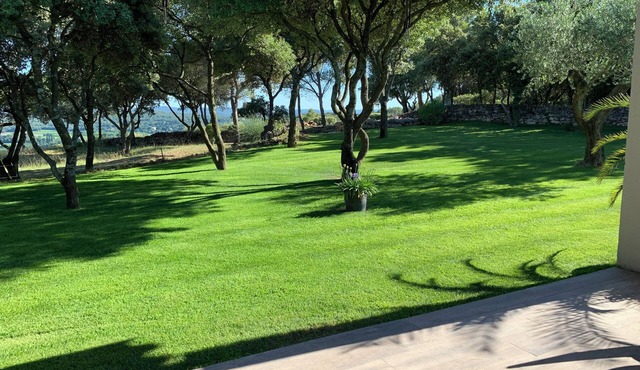 das Haus des Paradieses