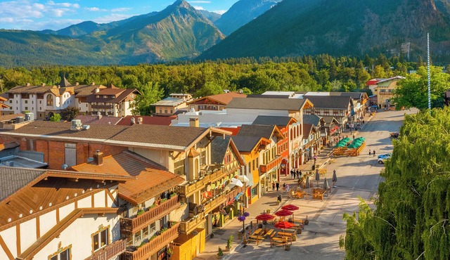 Dasha's Snowboard Track - Icicle Village