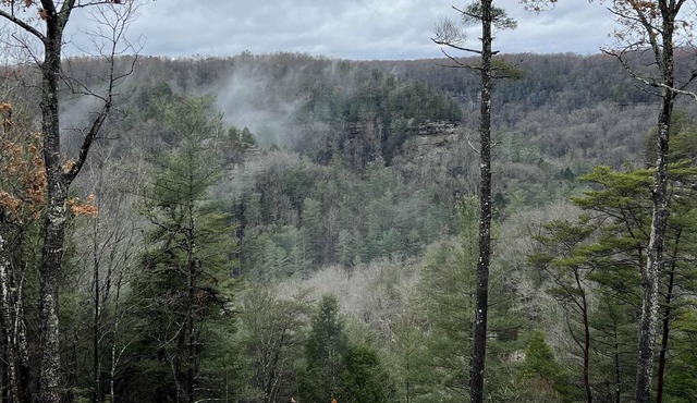Date Night Cabin - Romantic, Sauna, Views, Hot Tub