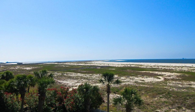 Dauphin Island Beach Club 303 Breathtaking Views!