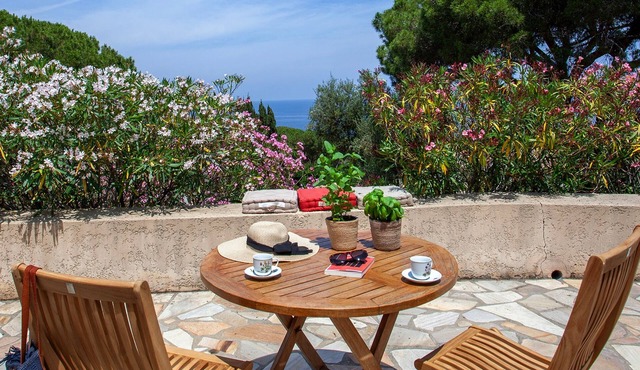 Davia 1 - Grande terrasse vue panoramique sur la mer