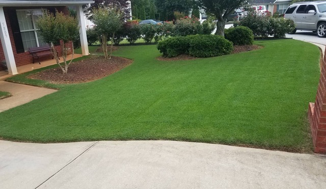 David's Manor! $ Nightly Specials!15min from Stone Mountain Park!