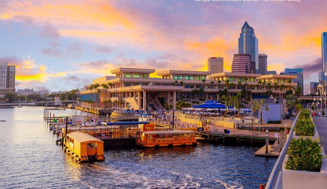 Davis Island Getaway - Ocean & Cruise Ship Views