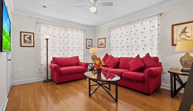 Davis Islands Audubon Oasis 1 Bedroom