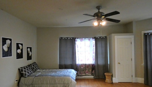 Davis Sq Beautiful 1-Bedroom Apt