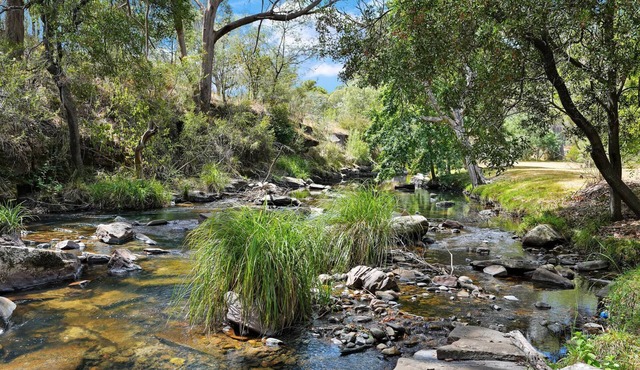 Day Dream Cottage - Off Mountain - Merrijig